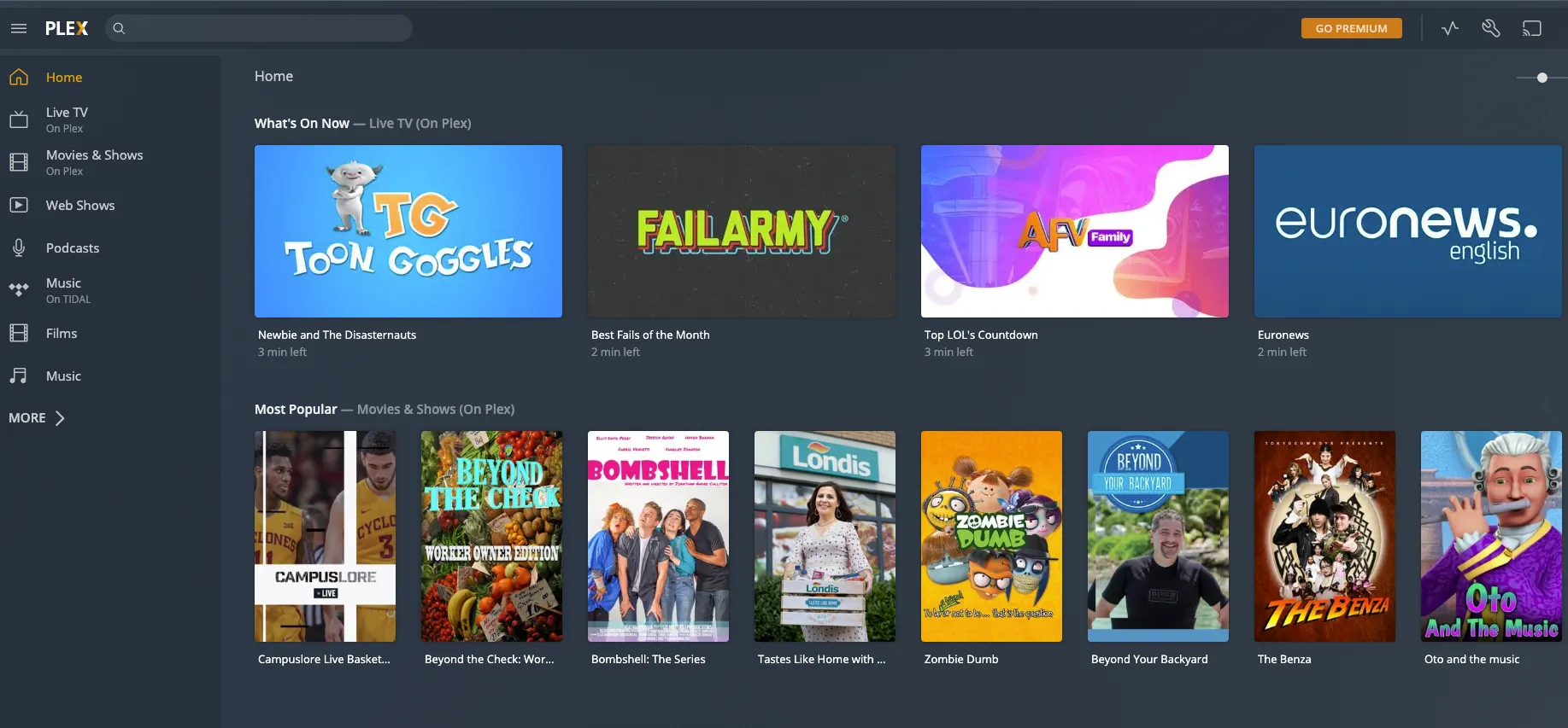 Plex Media Server 