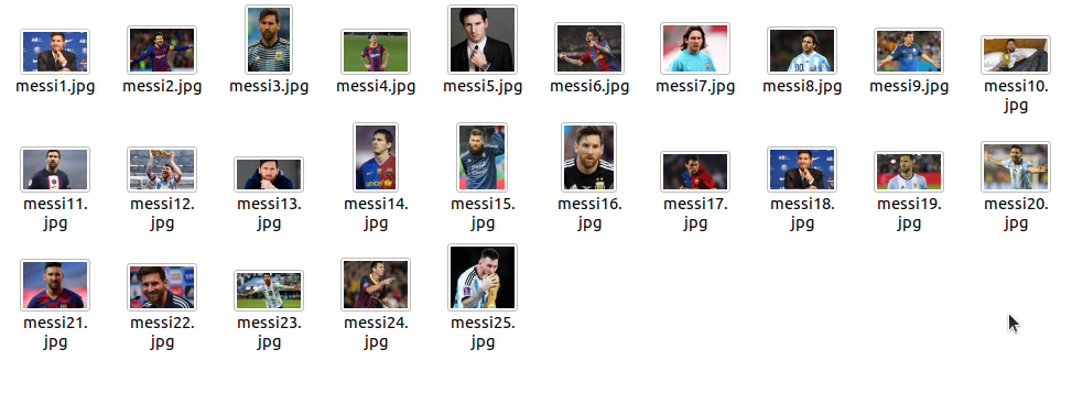 Lionel Messi's pictures
