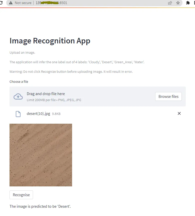 screenshot of the streamlit application