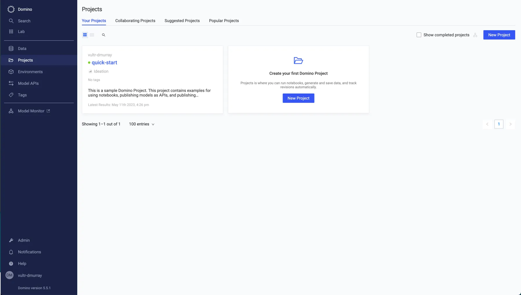 Projects Section
