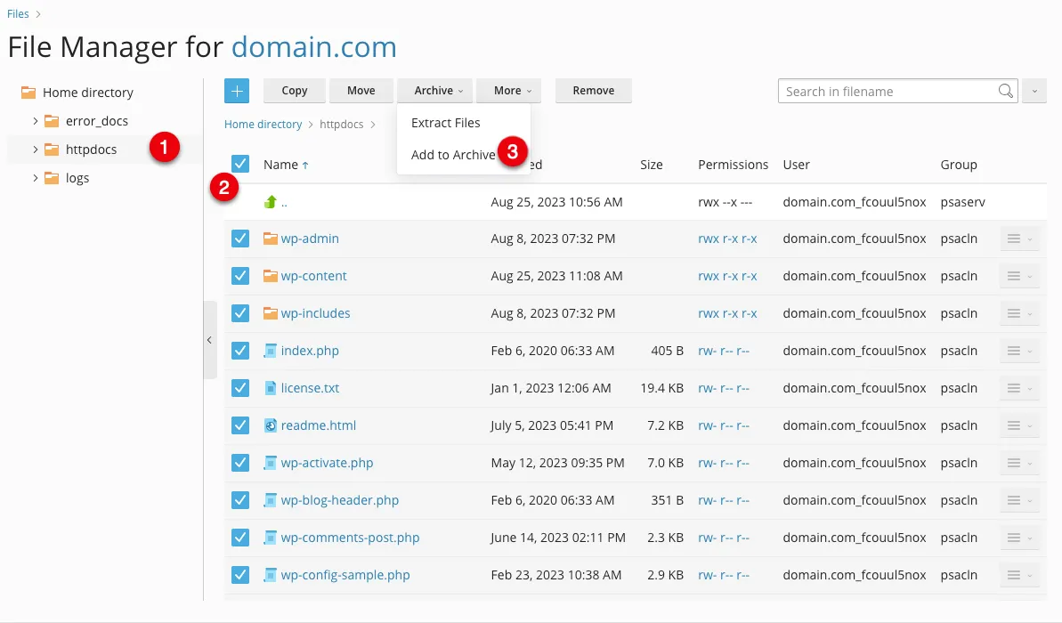 Plesk File Manager