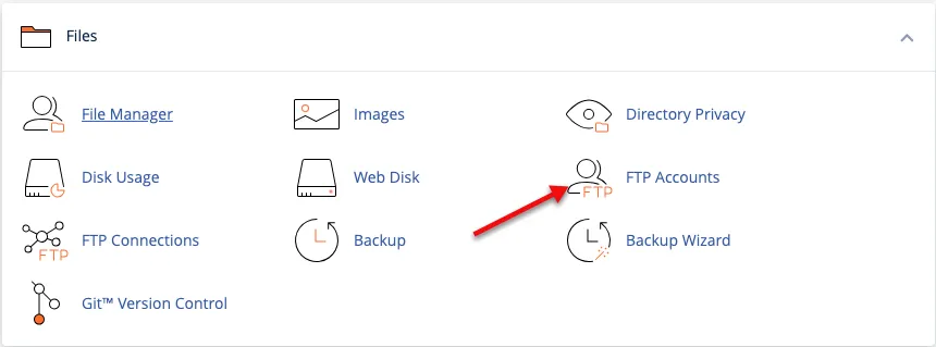 FTP Accounts cPanel section