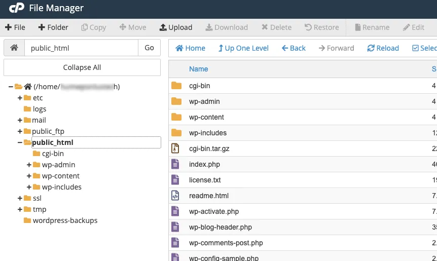 cPanel file manager