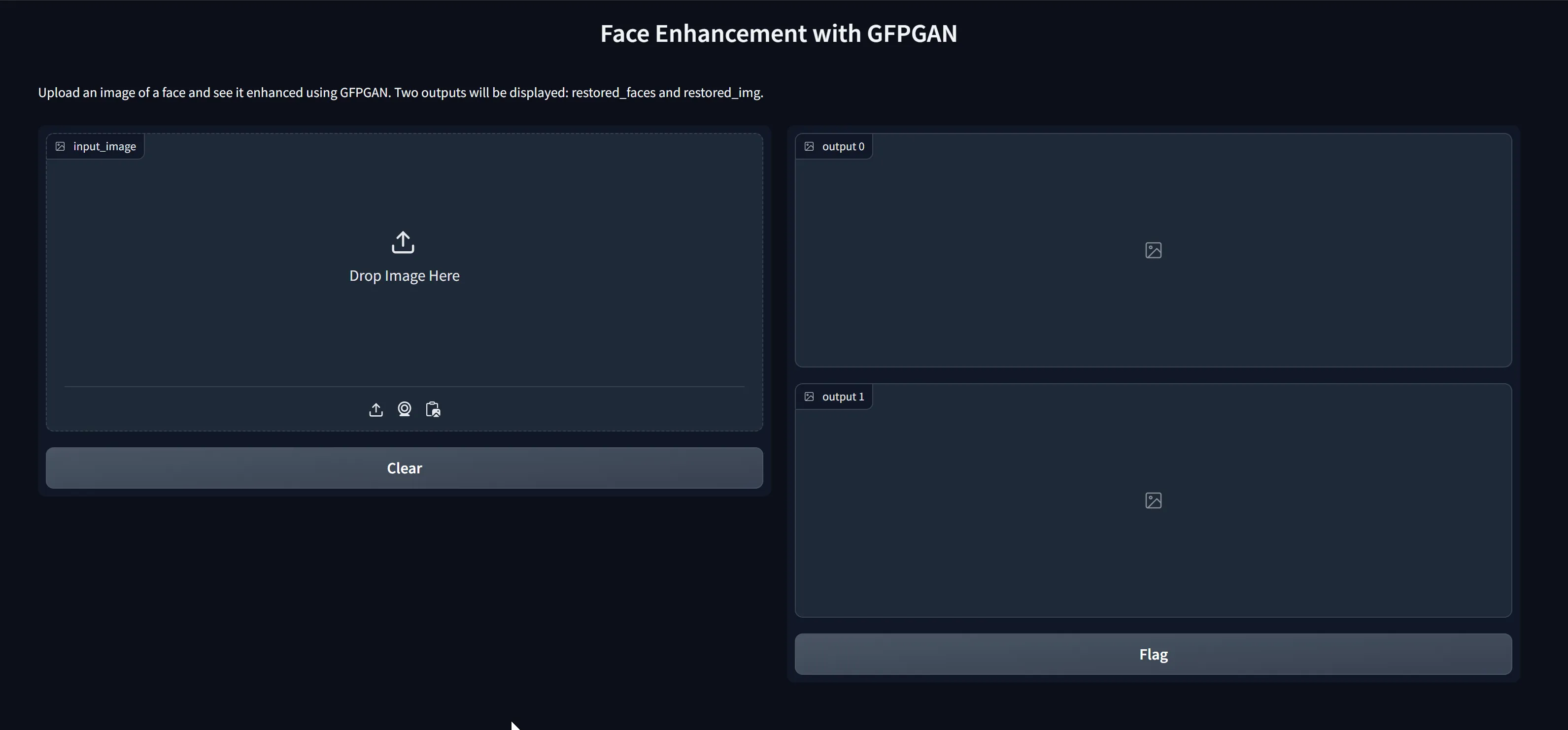 The Gradio Web Application Interface
