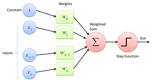 Neural network weights and biases