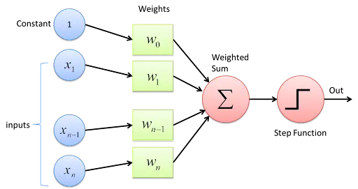 Neural network weights and biases