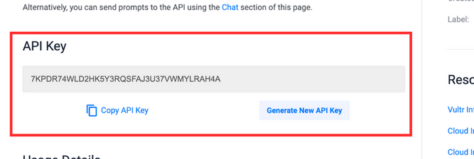Vultr Cloud Inference API Key