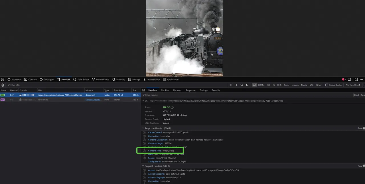 View the ImgProxy processed image data