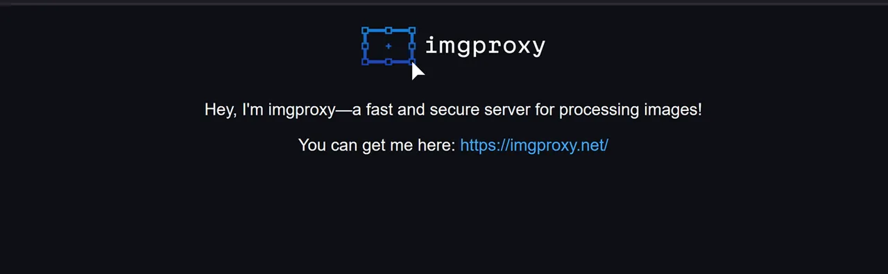 The Default ImgProxy webpage
