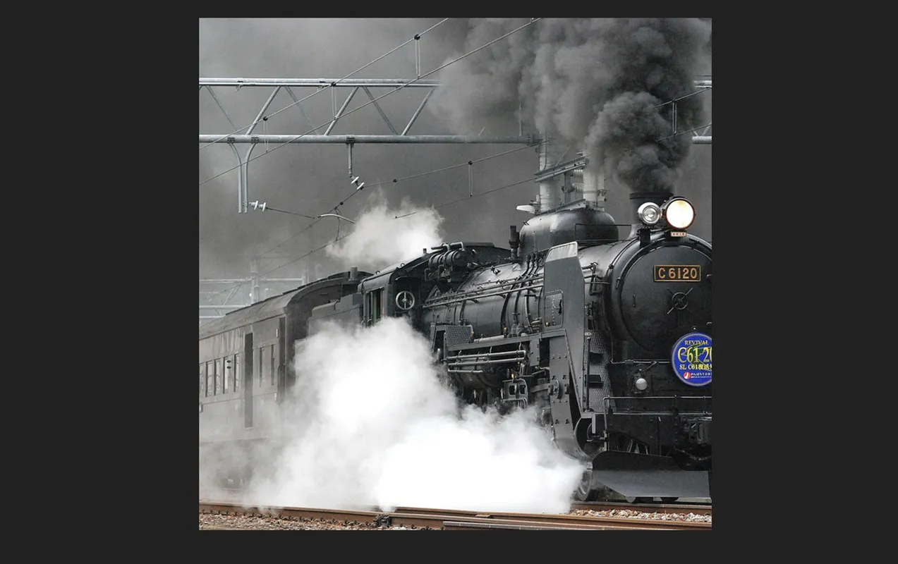 View the resized image