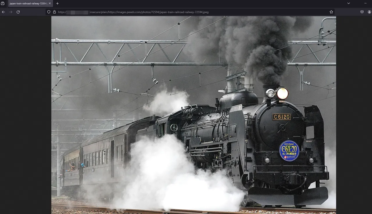 View the Unprocessed ImgProxy Image