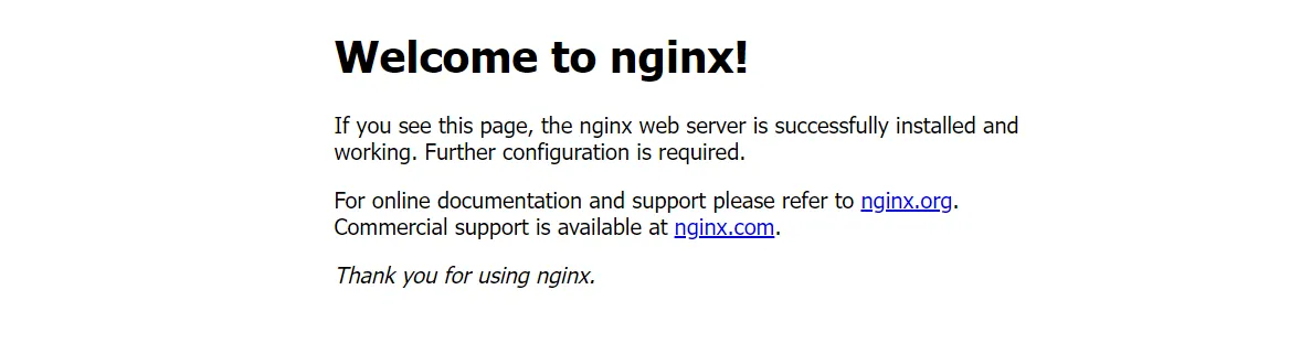 Access the Nginx Docker Container Application