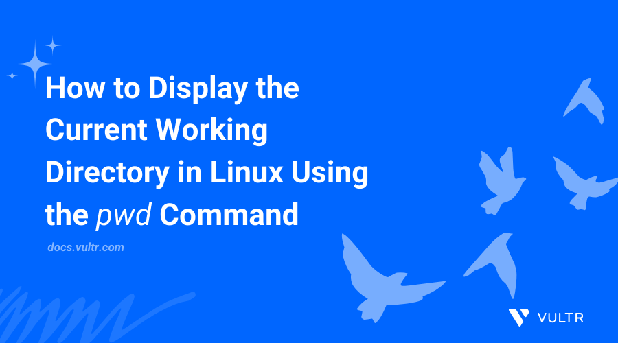  How to Display the Current Working Directory in Linux Using the pwd Command