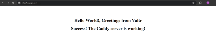 Caddy Virtual Host Application