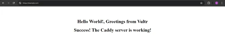 Caddy Virtual Host Application