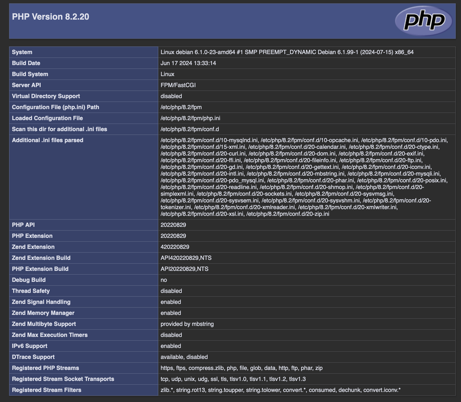 Test access to the Nginx Virtual Host Application