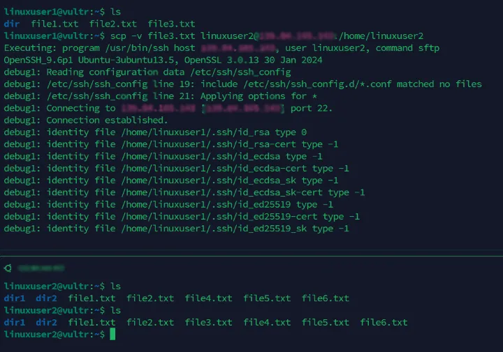 Display verbose debugging