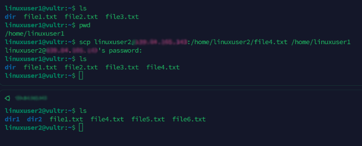 Copy file from remote server