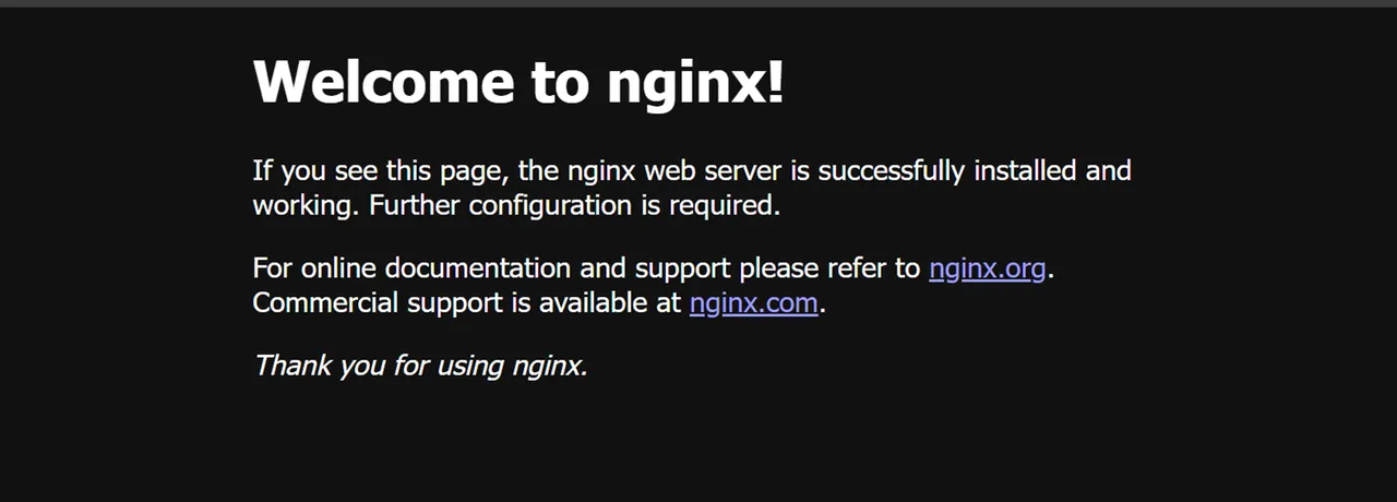 Access the Nginx Traefik Service