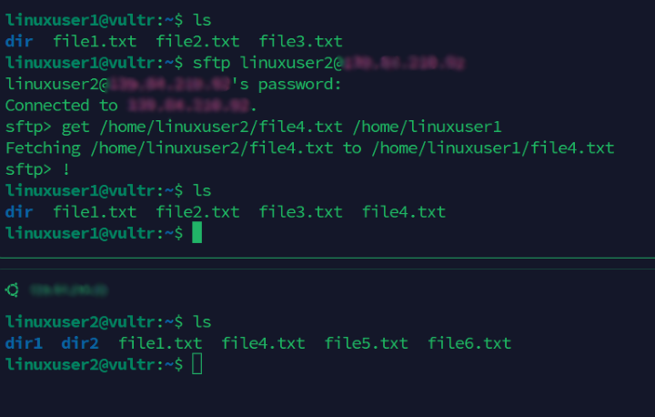 download file from remote server