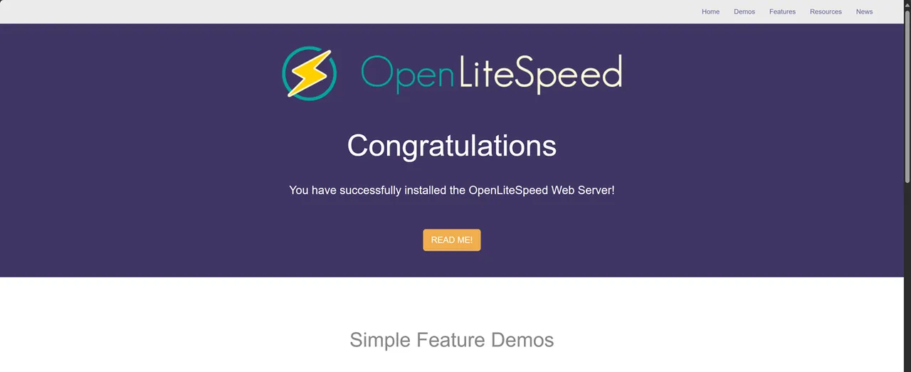 The Default OpenLiteSpeed virtual host page