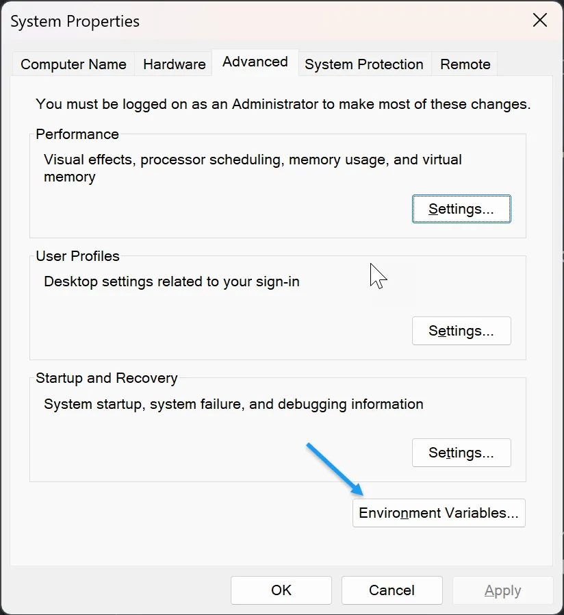Click Environment variables
