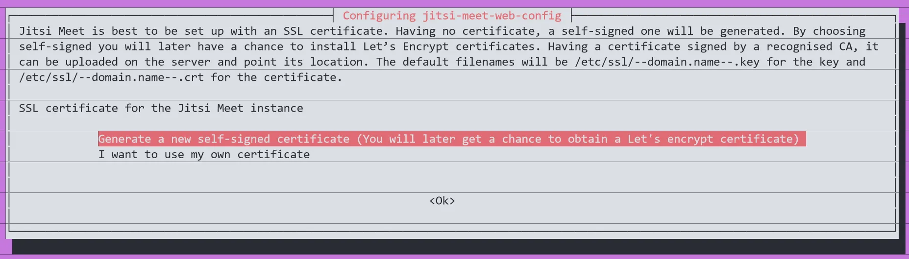 SSL Prompt