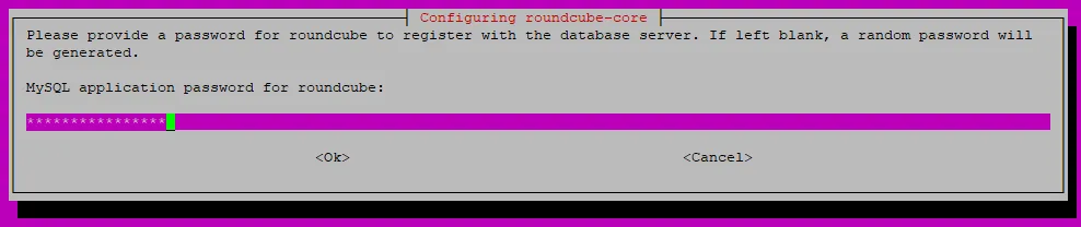 Database password for Roudcube