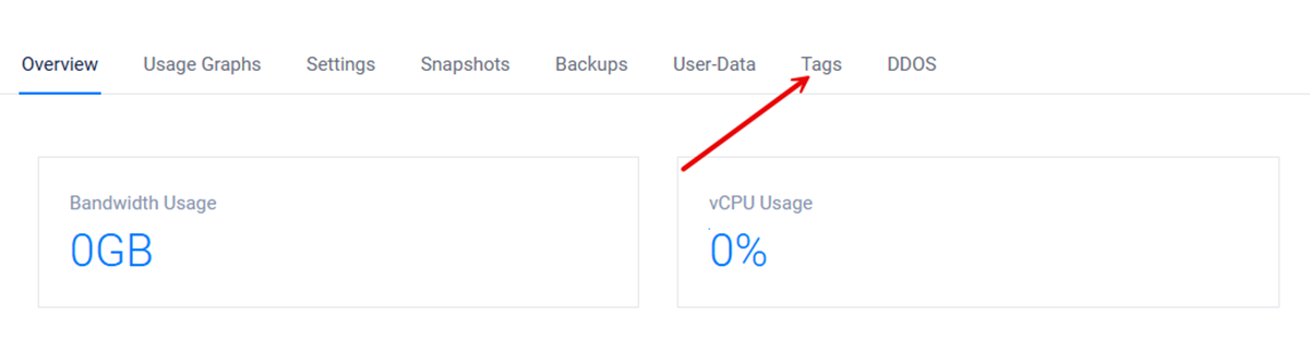 Access the instance tags tab
