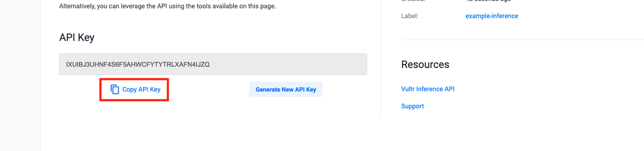 View the service API key in the overview page