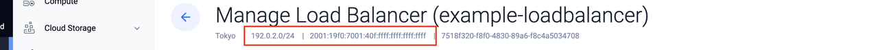 Copy the IPv4 and IPv6 addresses