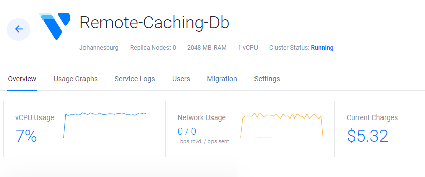 Database Instance Summary