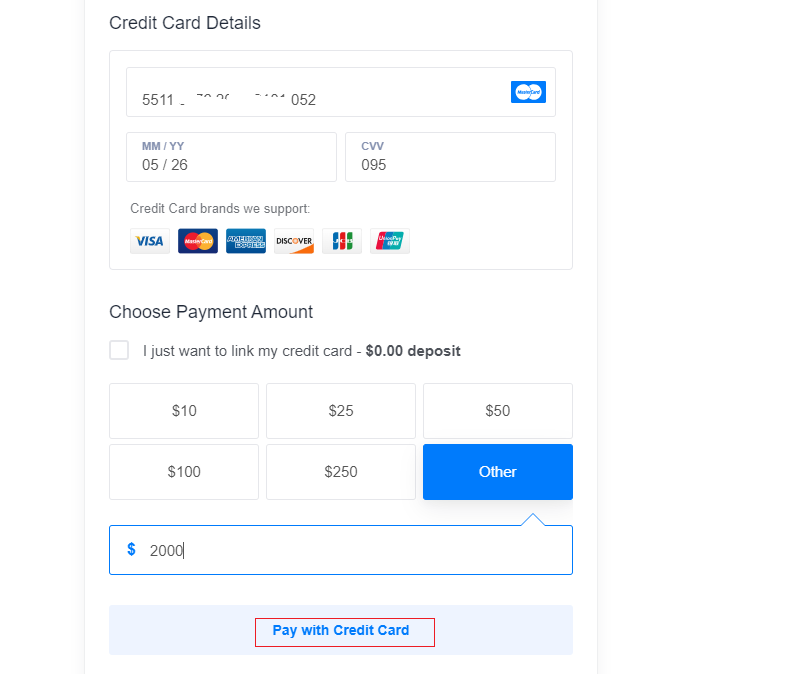 Credit Card Details and Amount