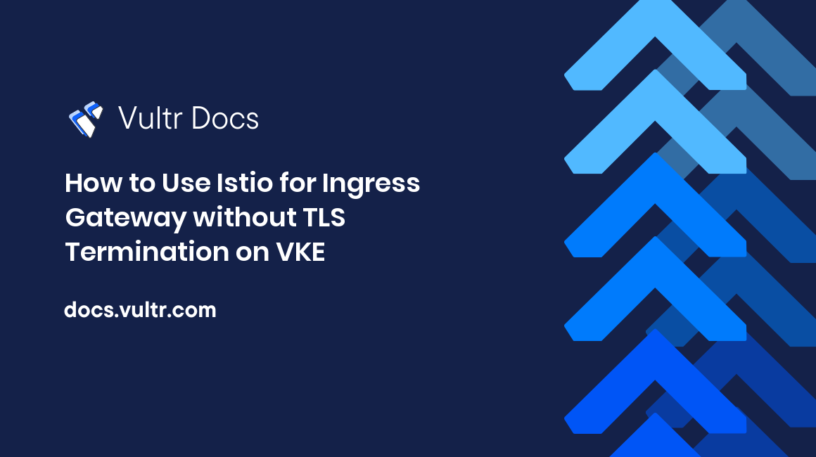 How to Use Istio for Ingress Gateway without TLS Termination on VKE header image