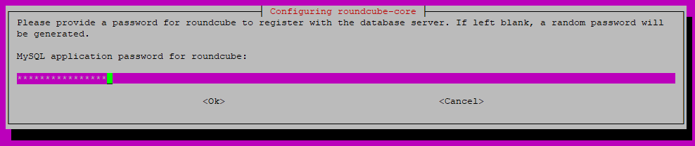 Database password for Roudcube