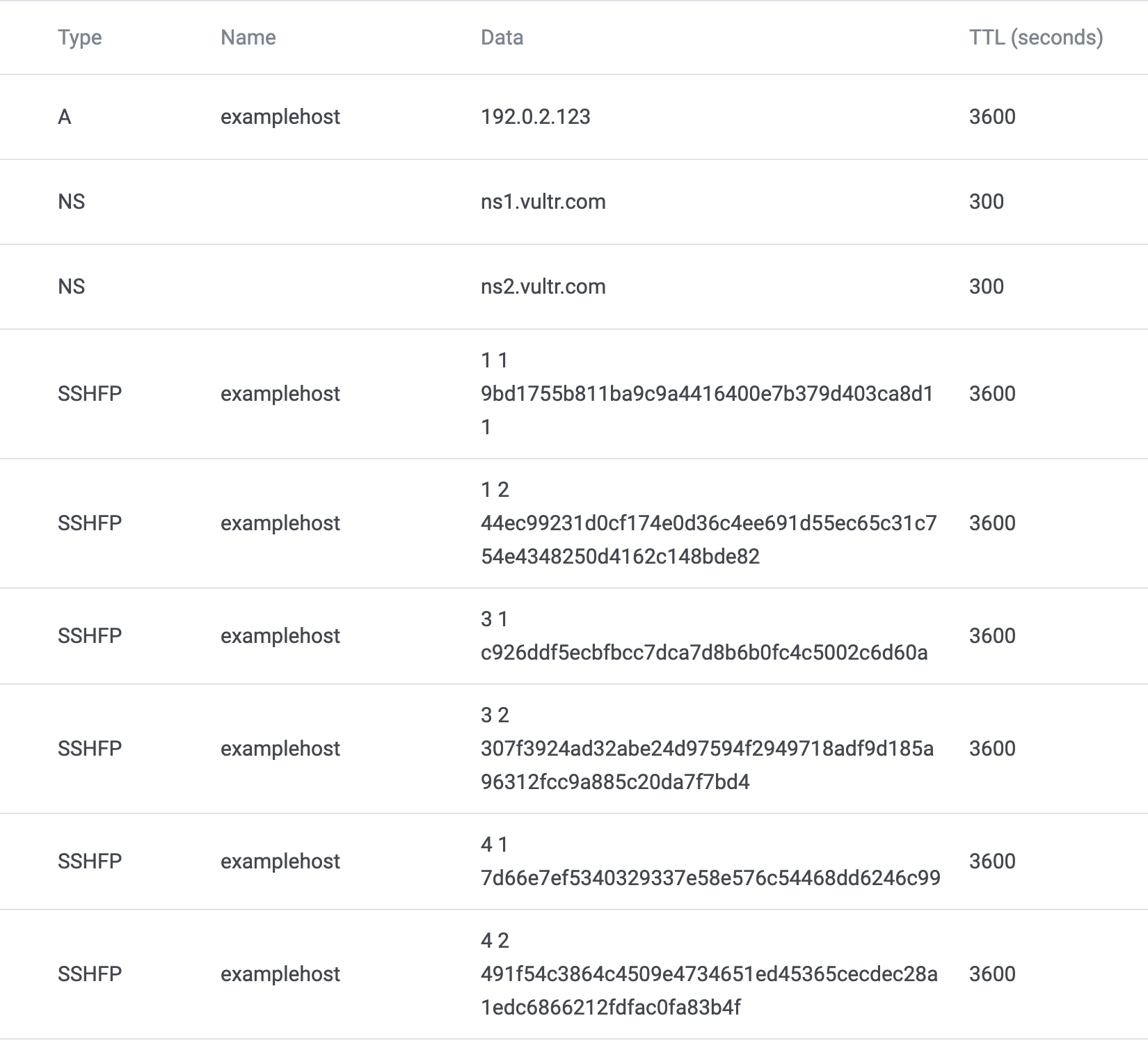 Screenshot of DNS entries