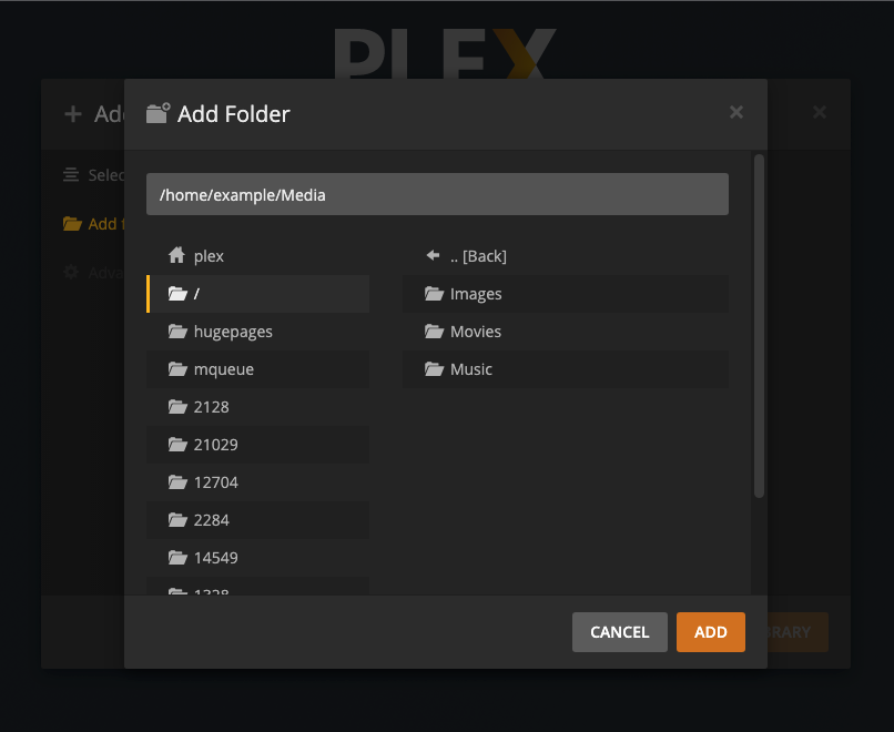 Plex Library Setup