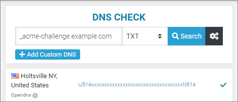 DNS-Check.png