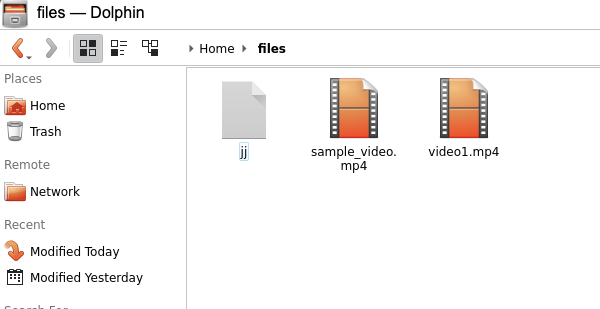 Uploaded Files in the WebApp Dolphin File Explorer