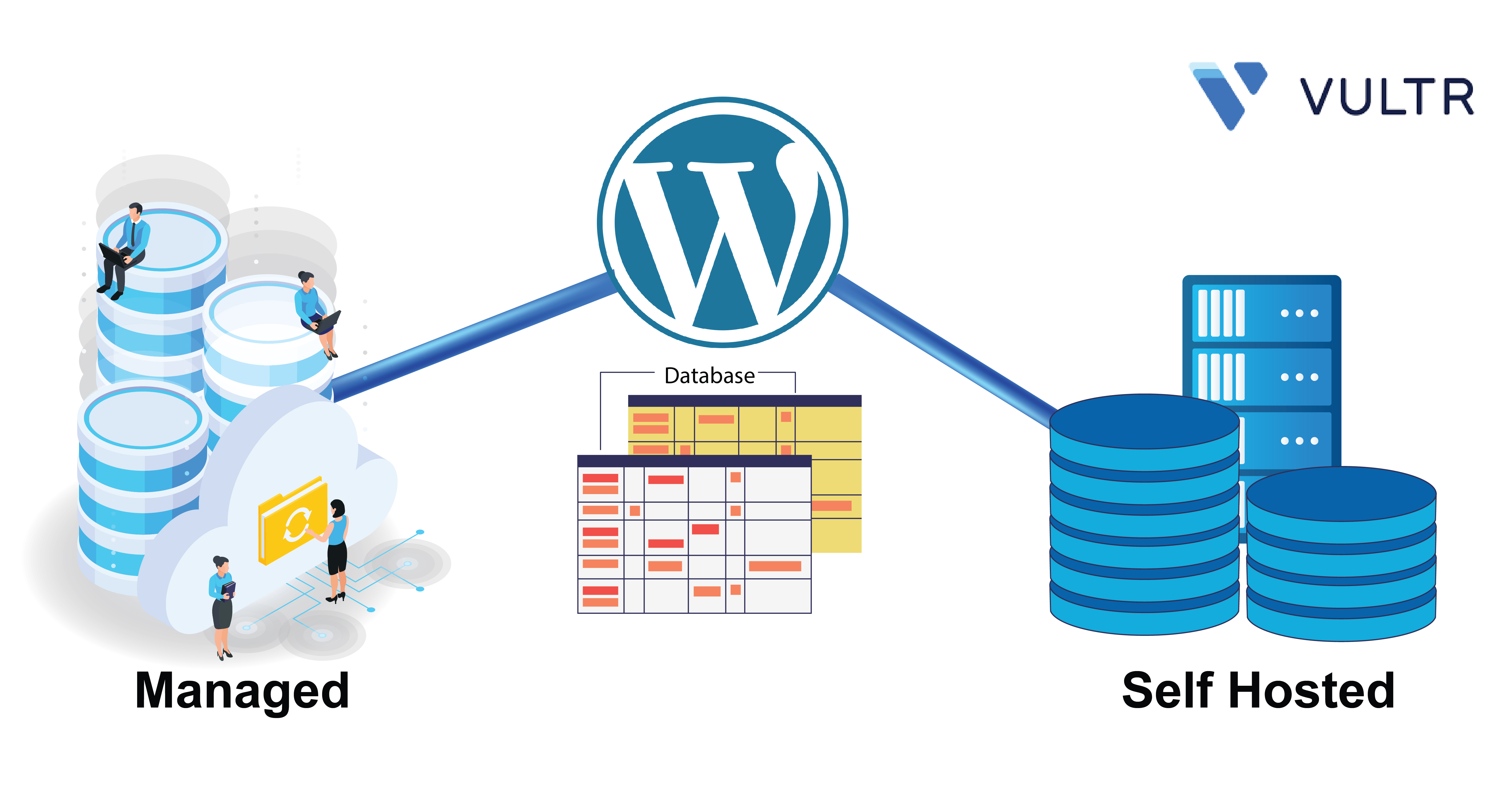 Choose WordPress Database Backend: Managed MySQL vs Self Hosted header image